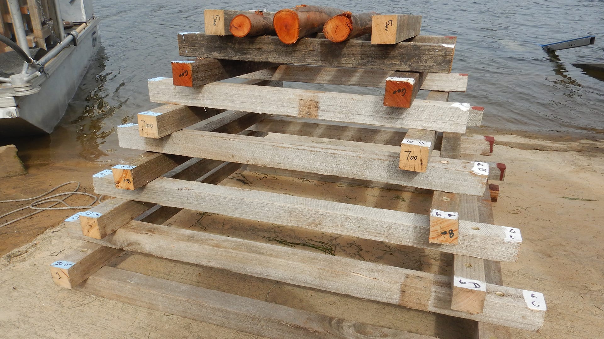 Fish hotels are futile