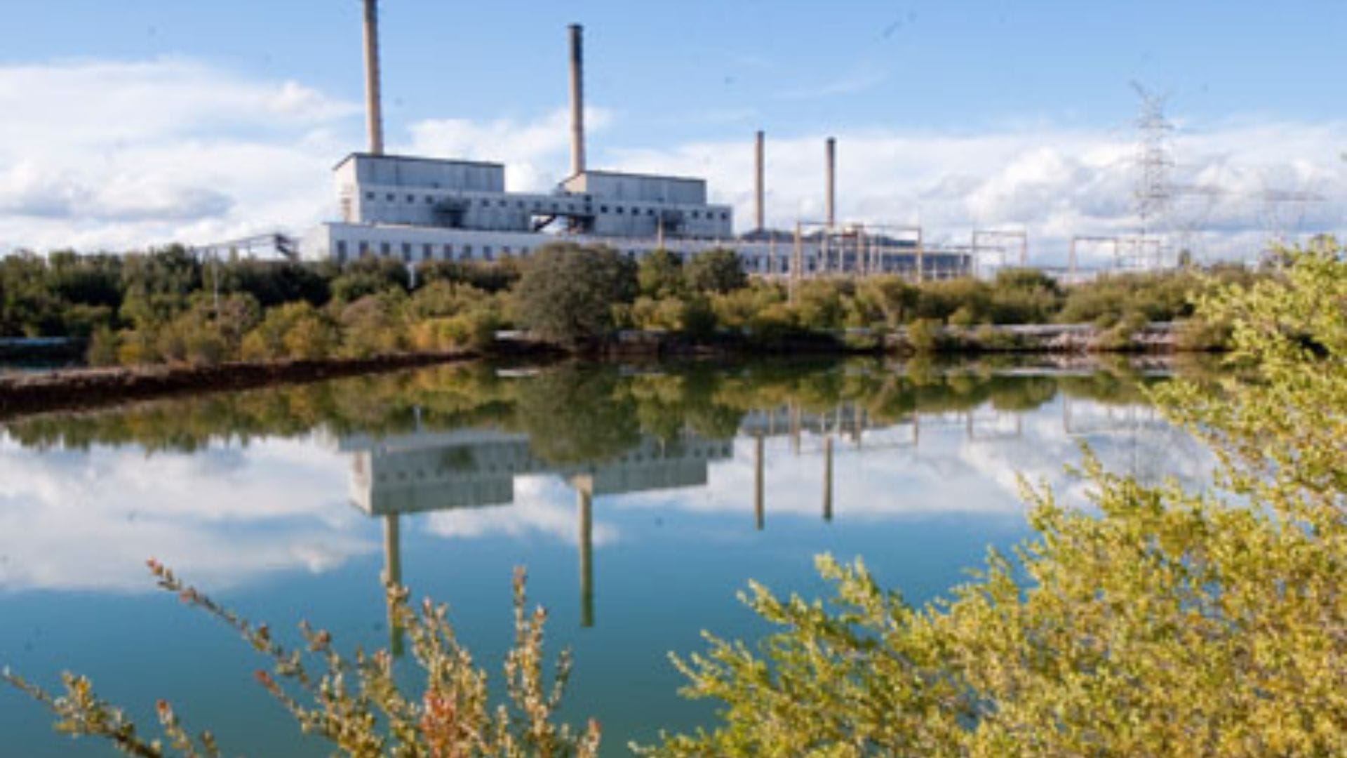 MLC Steve Thomas: Coal delays are ‘commonsense’